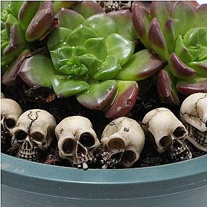 20Pcs Skull Head Sculptures Collectable Halloween Miniature Skulls Heads Decorative Creative Landscape Garden Potted Plant Decor