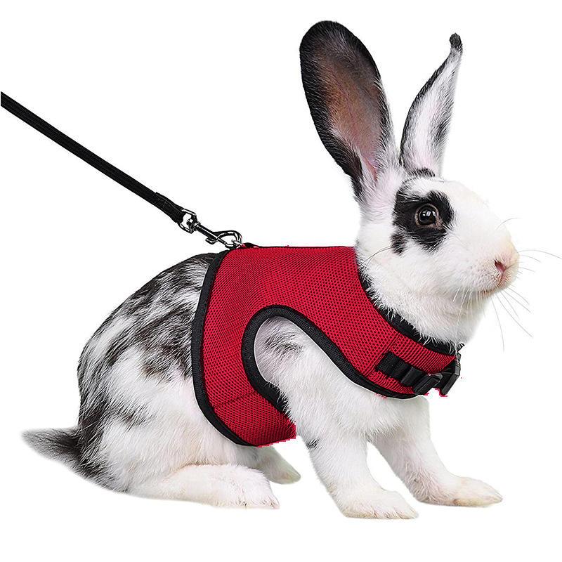 Mutil-Colors Breathable Stylish Vest Small Pet Carrier Bag Adjustable Soft Harness  And Elastic Leash Set For Rabbits