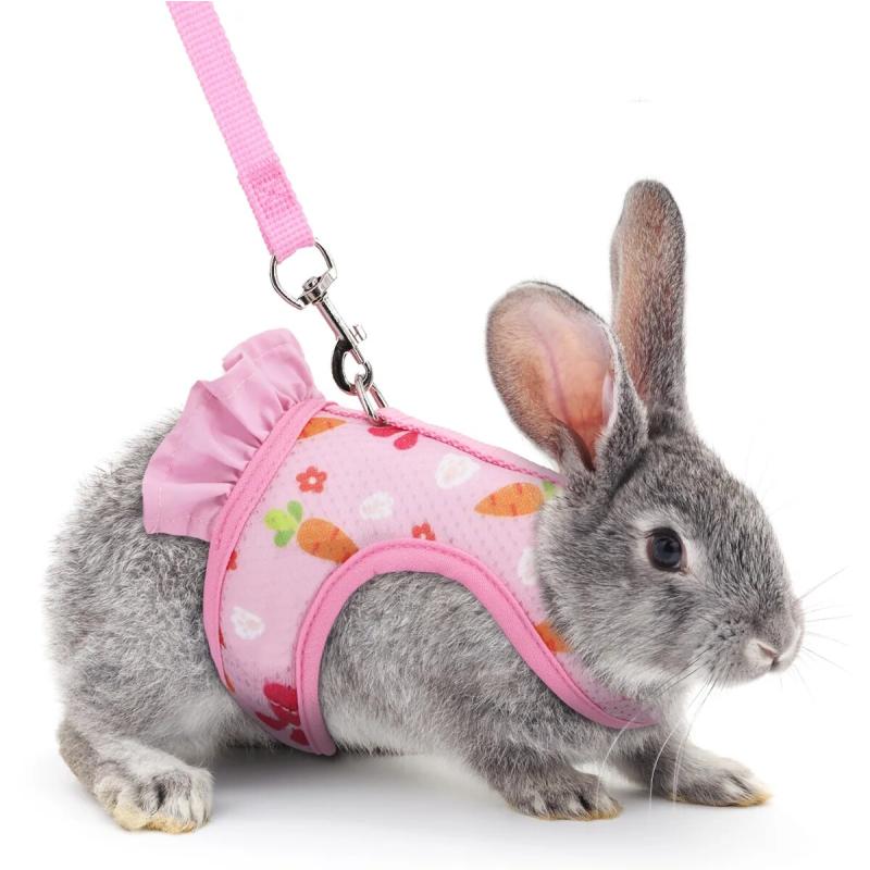 1pc Adjustable Bunny Harness for Walking Runnig Hiking Camping Outdoor - Carrot Pattern Cute Small Animal Harness Leash Set