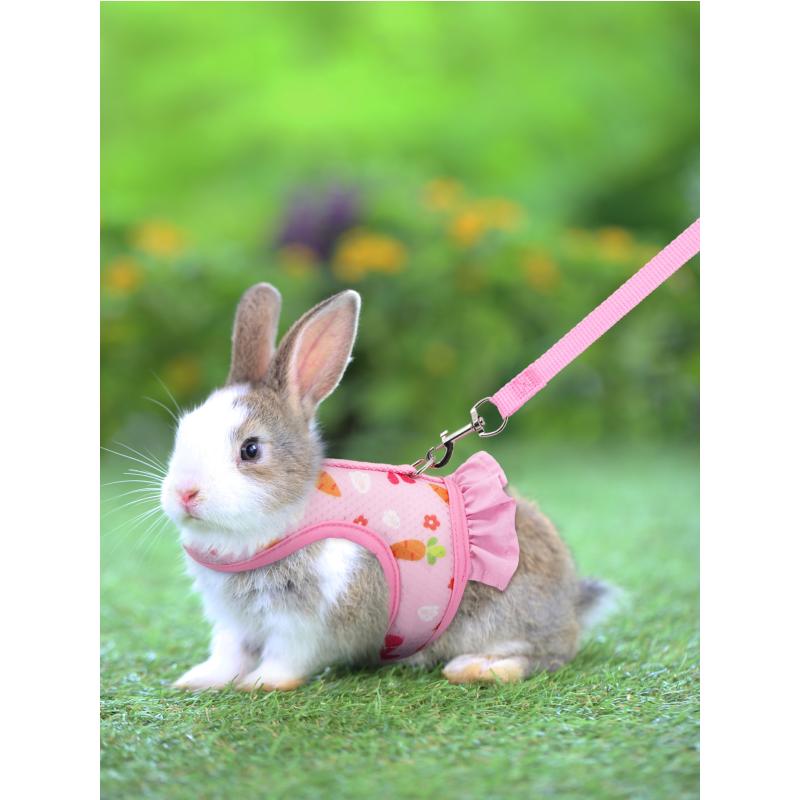 1pc Adjustable Bunny Harness for Walking Runnig Hiking Camping Outdoor - Carrot Pattern Cute Small Animal Harness Leash Set