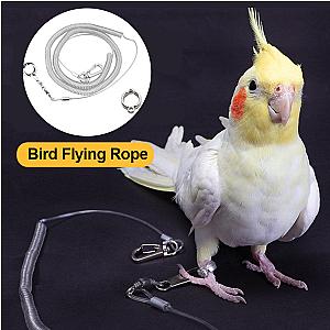 3M/6M Parrot Bird Flying Training Leash Ultra-light Flexible Rope Anti-bite with Leg Ring Harness Bird Training Rope Outdoor