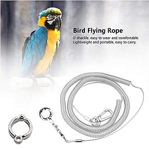 3M/6M Parrot Bird Flying Training Leash Ultra-light Flexible Rope Anti-bite with Leg Ring Harness Bird Training Rope Outdoor