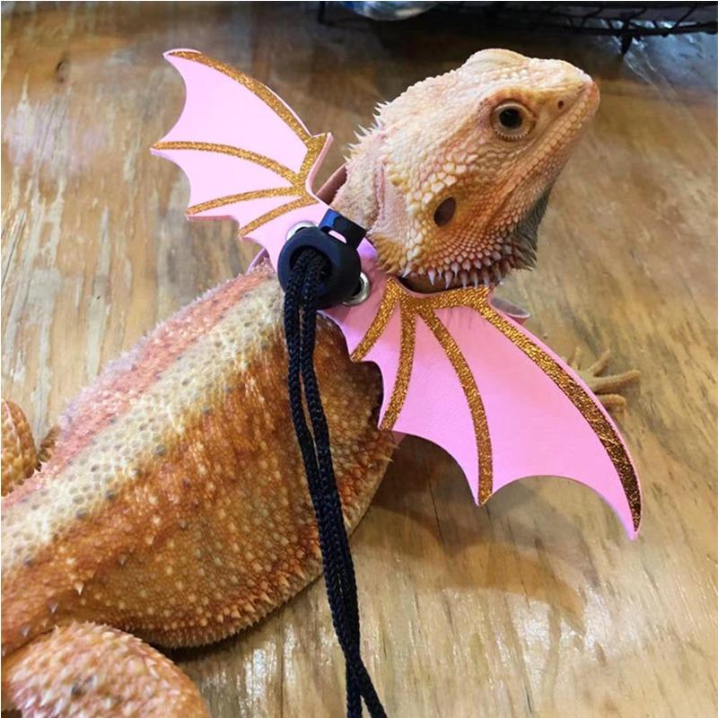 2022 New 3 Pcs Adjustable Bearded Dragon Leash With Bat Wings Soft Leather Lizard Harness For Amphibians And Other Small Reptile