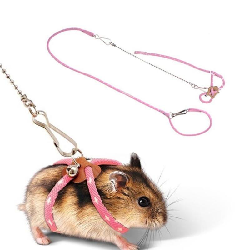 Pet Traction Rope Adjustable Soft Anti-Bite Training Rope Outdoor Flying Harness Leash With Bell For Bird Parrot Mouse Hamster