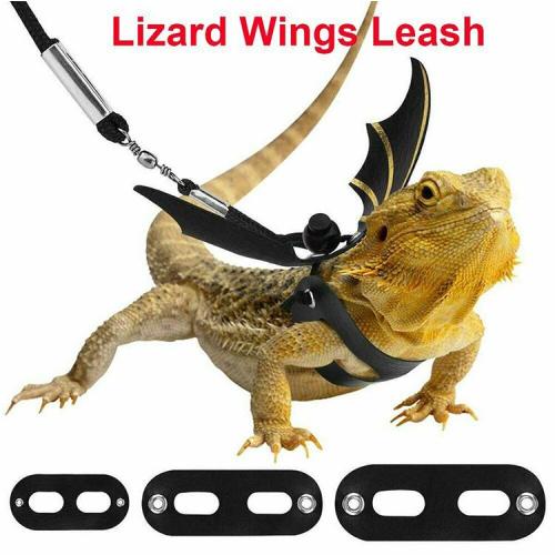 Adjustable Reptile Lizard Gecko Bearded Dragon Harness and Leash for Outdoor Pet Chameleon Supplies