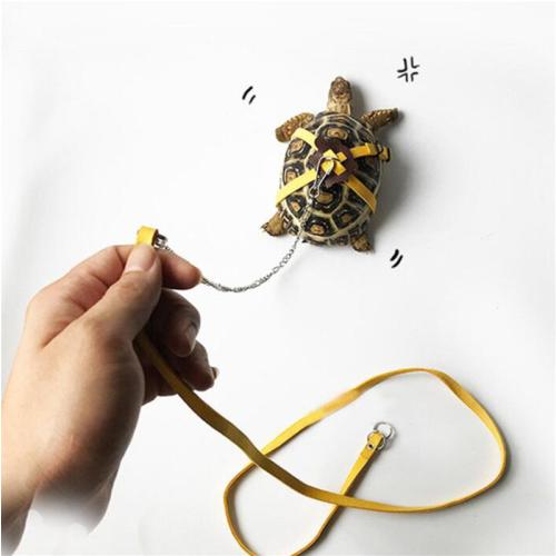 Adjustable Outdoor Pet Harness Training Soft Strap Tortoise Reptile Adjustable Leashes Reptile Leash Turtle Lizard