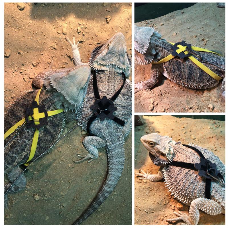 Adjustable Reptile Lizard Harness Leash Training Walking Rope Pet Leash Anti-Bite Harness Leash Pet Collar Chest Strap Lizard