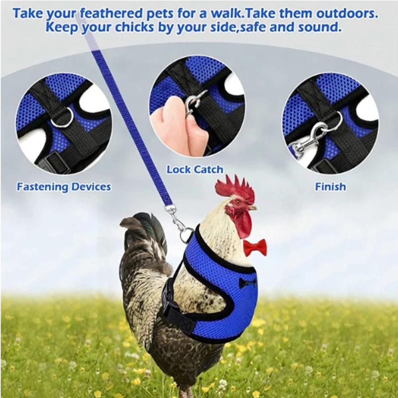 Adjustable Duck Chicken Harness Leash Comfortable And Breathable Small Size Hen Pet Vest For Chicken Duck Goose Training Walking