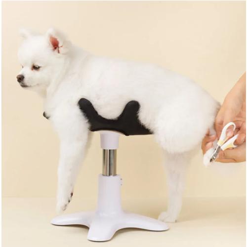 Pet Shower, Hair Dryer, and Beauty Fixed Table Base Frame