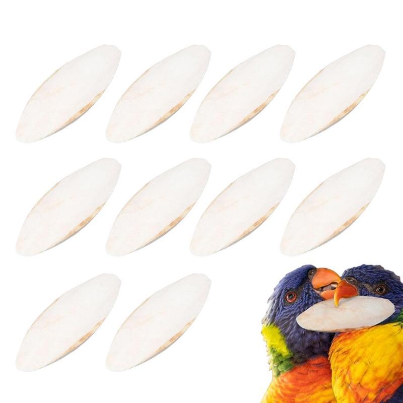 10pcs Cuttlebone For Snails Natural Cuttlefish Bone Bird Beaks Cuttlefish Bone Chew Toy For Beak Calcium Cuttlebone For Snail