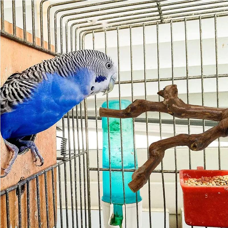 Pet Standing Stick Wild Grape Wood Pole Parrot Cockatiel Parakeet Station Board Bite Claw Grinding Toy Bird Cage Accessories