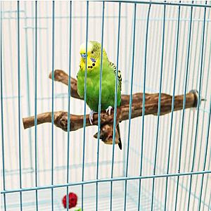 Pet Standing Stick Wild Grape Wood Pole Parrot Cockatiel Parakeet Station Board Bite Claw Grinding Toy Bird Cage Accessories