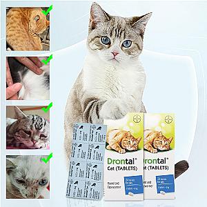 Internal Anthelmintic Tablets Internal Nematode Anthelmintics For Cats