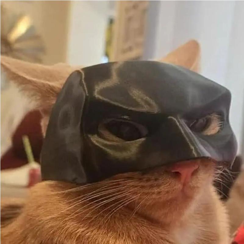 TONG Cat Bat Cool Man Mask Cat Avenger Mask Matte Cute Bat Mask Superhero Toys Cat Bat Pet Man Mask for Cat and Dogs