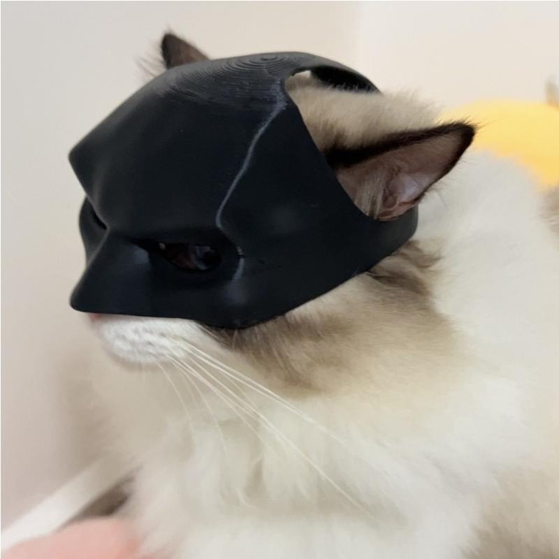 TONG Cat Bat Cool Man Mask Cat Avenger Mask Matte Cute Bat Mask Superhero Toys Cat Bat Pet Man Mask for Cat and Dogs