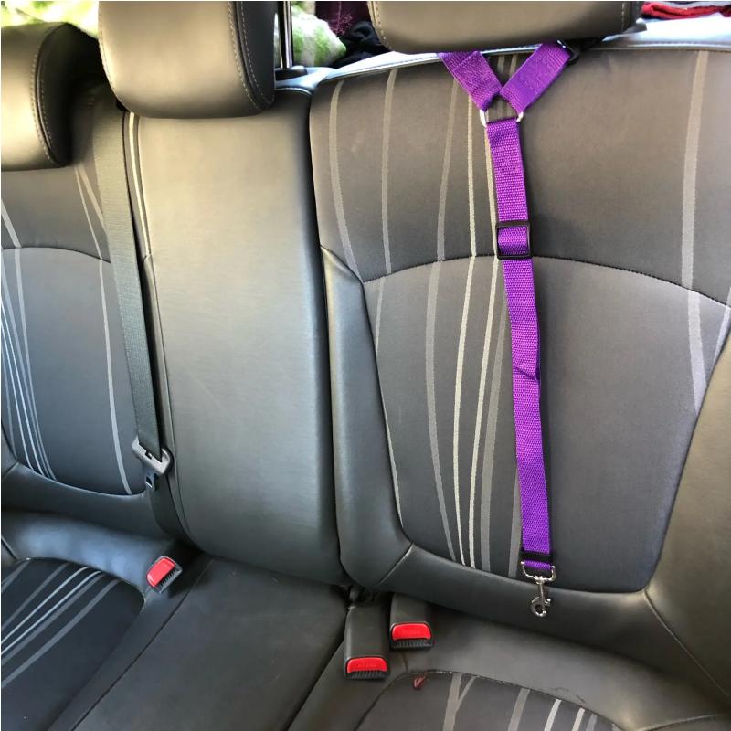 Solid Color Two-in-one Pet Car Seat Belt Nylon Lead Leash Backseat Safety Belt Adjustable Dogs Harness Collar Pet Accessories